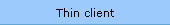 Thin client